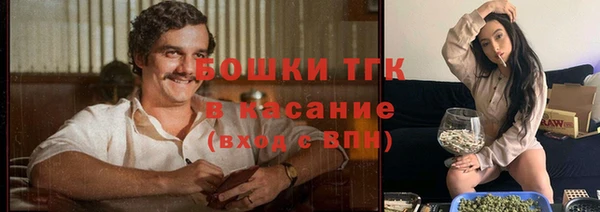 ешки Белокуриха