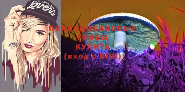ешки Белокуриха