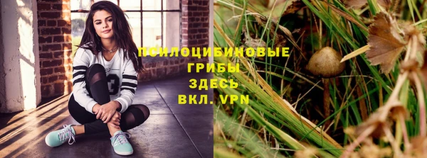 ПСИЛОЦИБИНОВЫЕ ГРИБЫ Беломорск