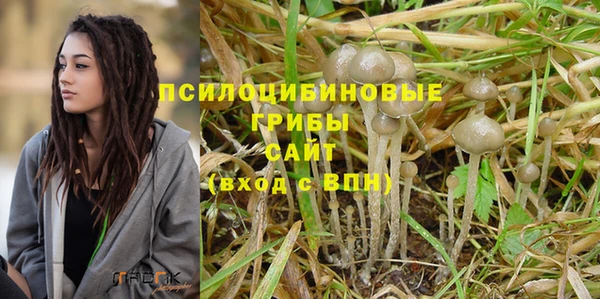 ешки Белоозёрский