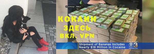 ПСИЛОЦИБИНОВЫЕ ГРИБЫ Беломорск